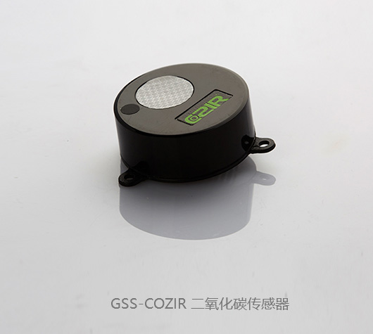 GSS-COZIR ̼